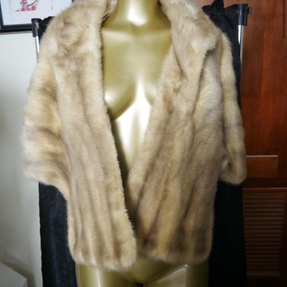 SAGA Blue Fox